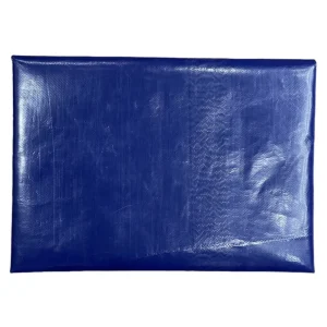 Freitag Beauty/Pochette | – F421 Sleeve For Laptop Blu